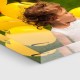 Foto su Plexiglass