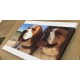 Foto Quadro