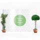 Photo Booth Personalizzato