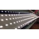 Rótulos con luz delgados