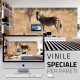 Vinile Speciale per Pareti
