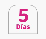 5 días